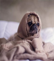 琼中有这样的手机号码，留不住钱，你中枪了吗？