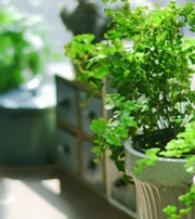 琼中专属于你的开运指南，助你鸿运当头福满身！